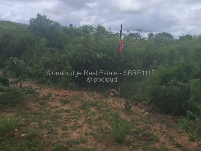 Farm/Plot for Sale in Douglasdale, Bulawayo
