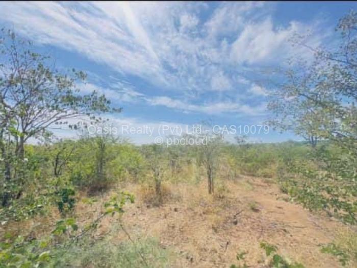 Commercial Stand for Sale in Victoria Falls, Victoria Falls