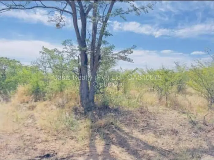 Commercial Stand for Sale in Victoria Falls, Victoria Falls