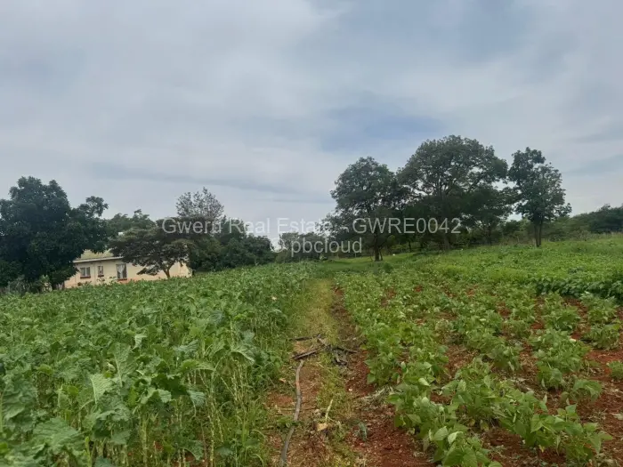 Farm/Plot for Sale in Harben park, Gweru