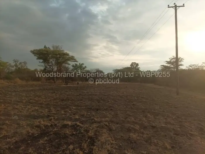 Farm/Plot for Sale in Beatrice, Beatrice