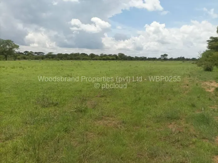 Farm/Plot for Sale in Beatrice, Beatrice