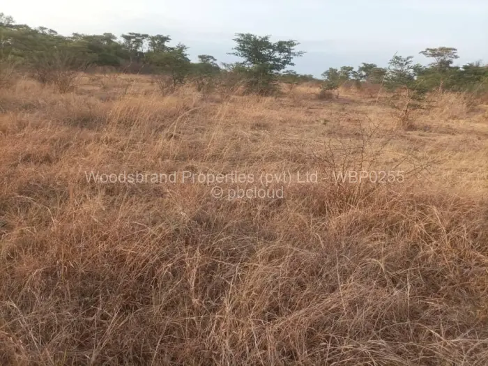 Farm/Plot for Sale in Beatrice, Beatrice