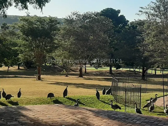 4 Bedroom House for Sale in Borrowdale Brooke, Harare