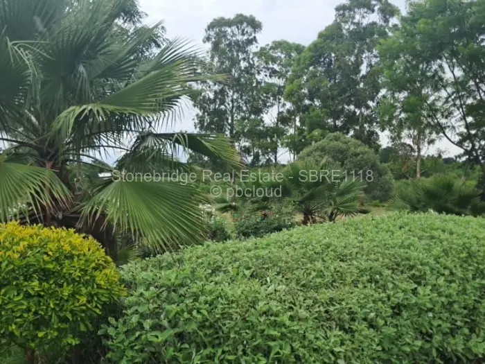 Commercial Stand to Rent in Riverside North, Bulawayo