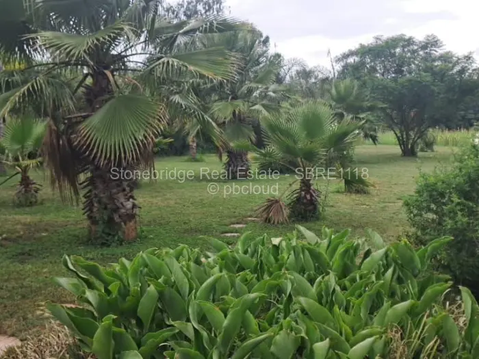 Commercial Stand to Rent in Riverside North, Bulawayo