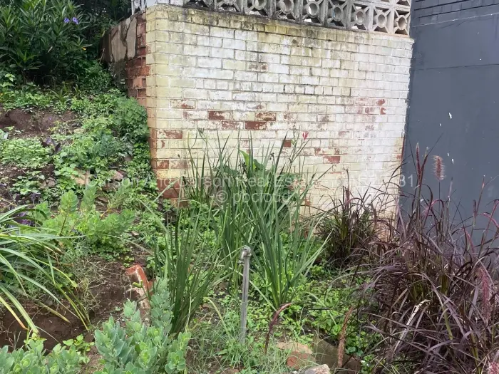 2 Bedroom Cottage/Garden Flat to Rent in Greystone Park, Harare