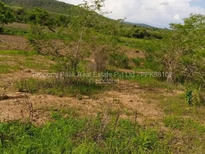 Farm/Plot for Sale in Shamva, Shamva