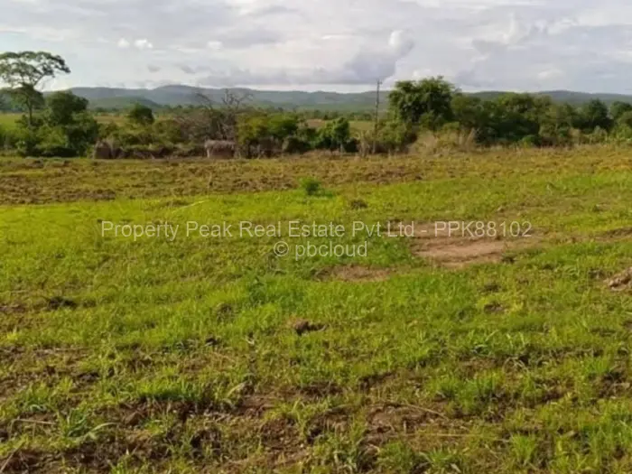 Farm/Plot for Sale in Shamva, Shamva