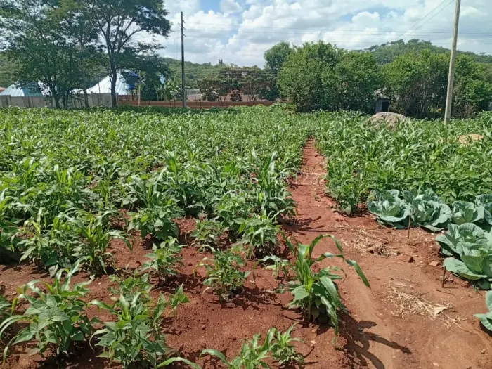 Residential Stand for Sale in Glen Lorne, Harare