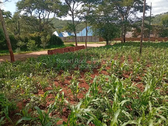 Residential Stand for Sale in Glen Lorne, Harare