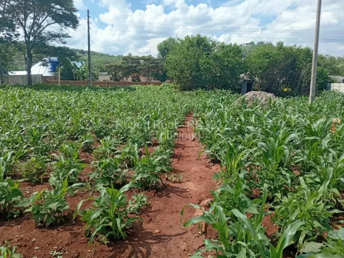 Residential Stand for Sale in Glen Lorne, Harare