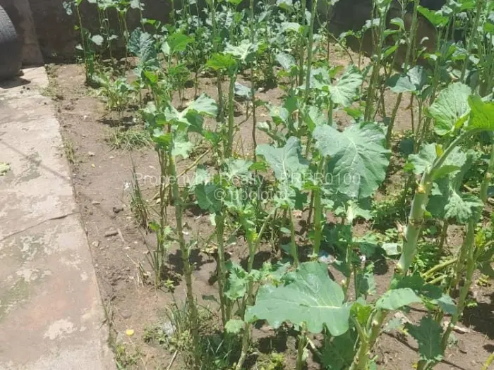 3 Bedroom House for Sale in Chitungwiza, Chitungwiza