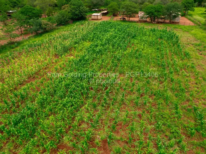 Farm/Plot for Sale in Gwanda, Gwanda