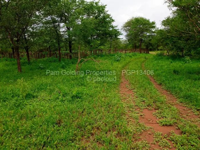 Farm/Plot for Sale in Gwanda, Gwanda