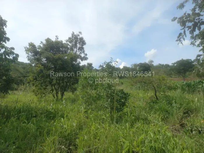 Residential Stand for Sale in Gletwin Park, Harare