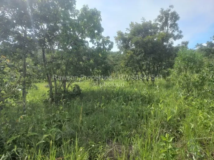 Residential Stand for Sale in Gletwin Park, Harare