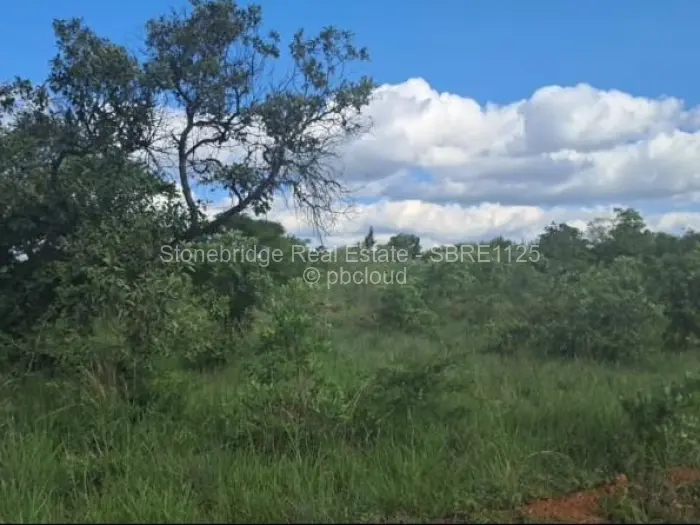 Residential Stand for Sale in Burnside, Bulawayo