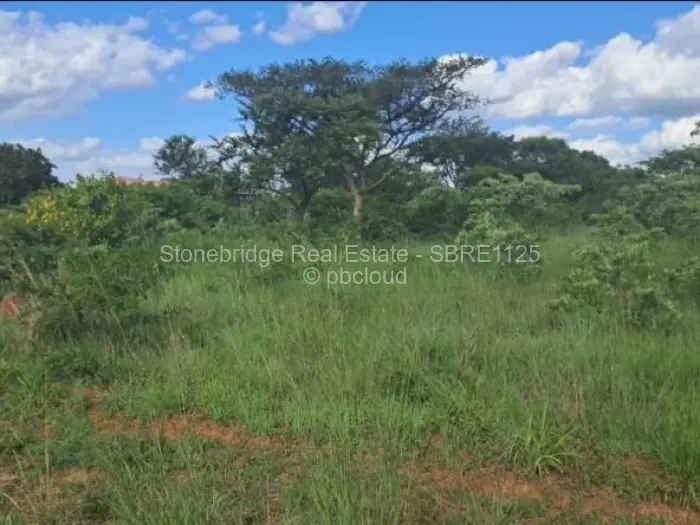 Residential Stand for Sale in Burnside, Bulawayo