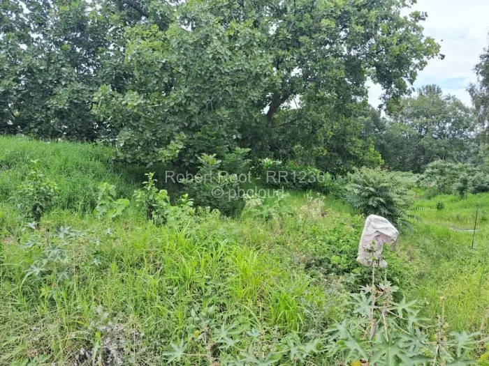 Residential Stand for Sale in Quinnington, Harare