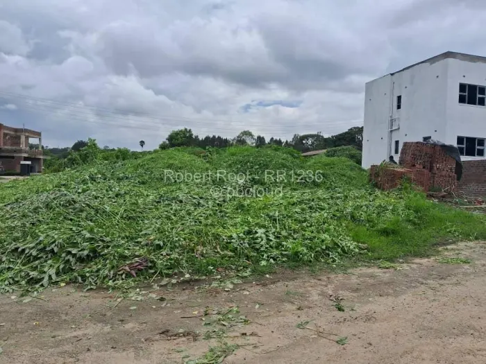 Residential Stand for Sale in Quinnington, Harare