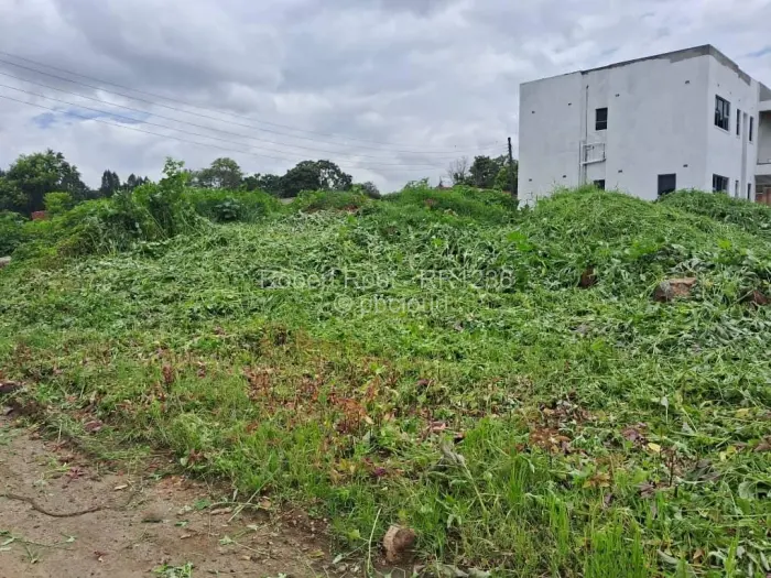 Residential Stand for Sale in Quinnington, Harare