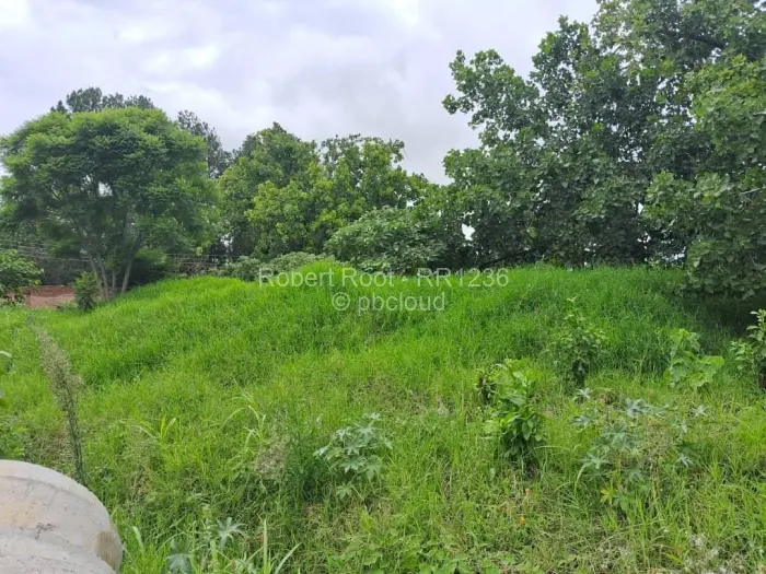 Residential Stand for Sale in Quinnington, Harare