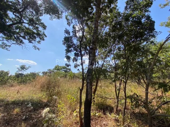 House for Sale in Gletwin Park, Harare