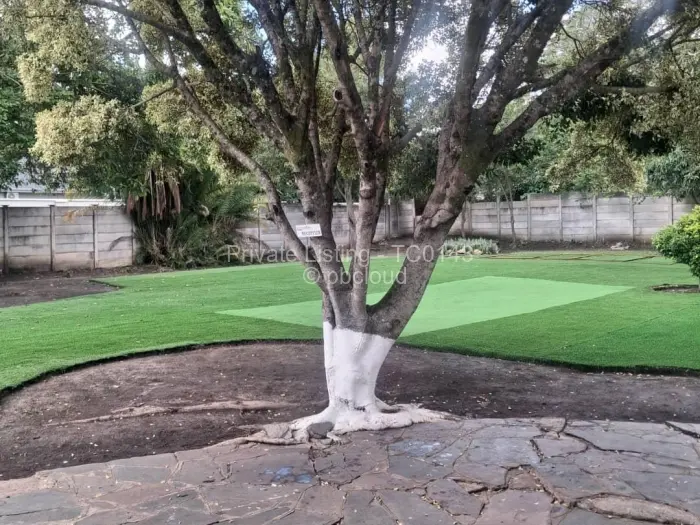 House to Rent in Newlands, Harare