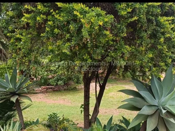 3 Bedroom House to Rent in Greendale North, Harare