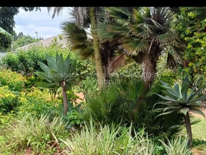 3 Bedroom House to Rent in Greendale North, Harare