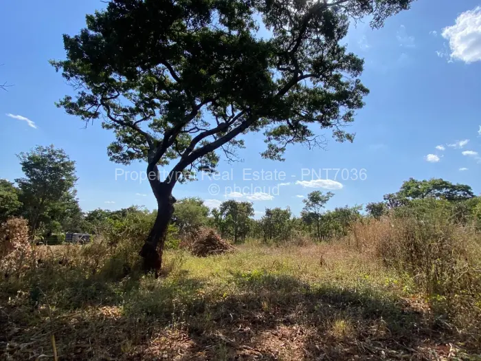 Residential Stand for Sale in Shawasha Hills, Harare