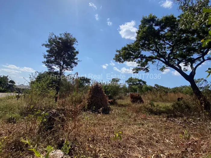 Residential Stand for Sale in Shawasha Hills, Harare