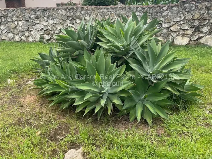 3 Bedroom House for Sale in Hatfield, Harare