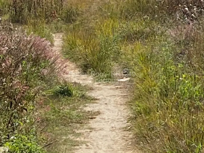 Residential Stand for Sale in Goodhope, Harare