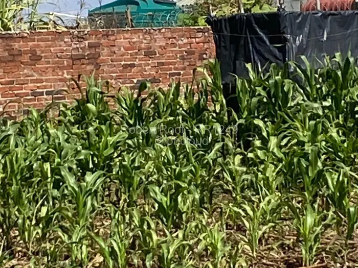 Residential Stand for Sale in Goodhope, Harare