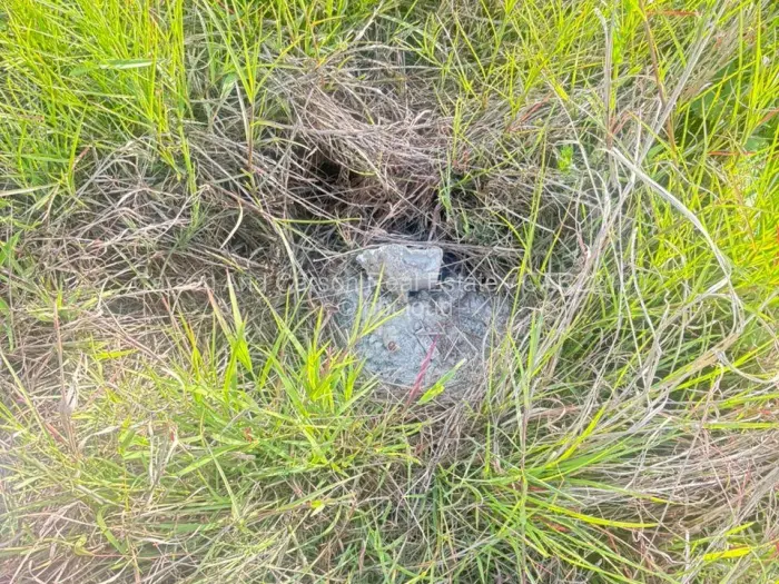 Residential Stand for Sale in Goodhope, Harare