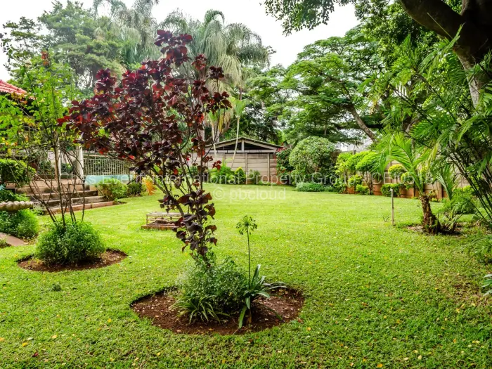 3 Bedroom House to Rent in Malindela, Bulawayo