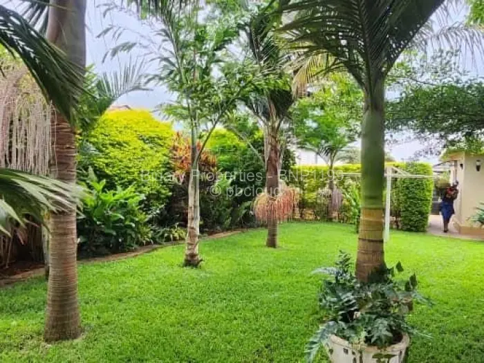 4 Bedroom House to Rent in Mount Pleasant Heights