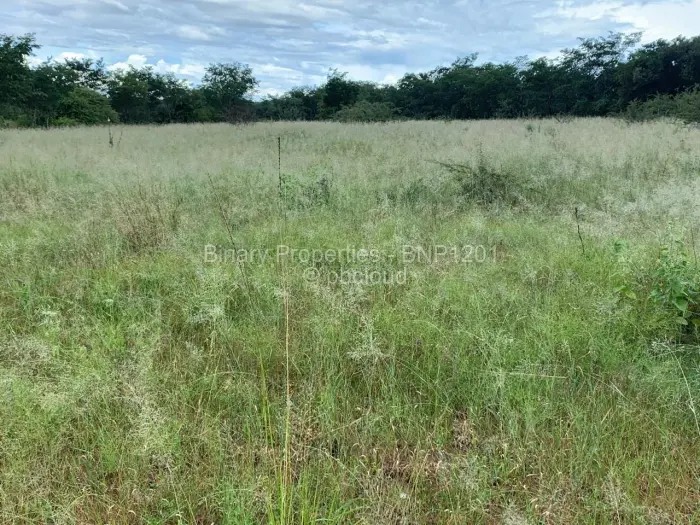 Farm/Plot for Sale in Gweru East, Gweru
