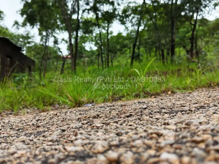 Residential Stand for Sale in Carrick Creagh Estate, Harare