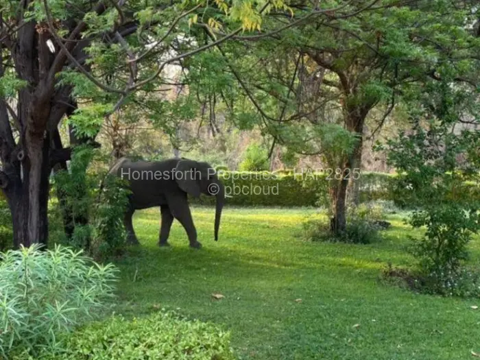 4 Bedroom House for Sale in Kariba, Kariba