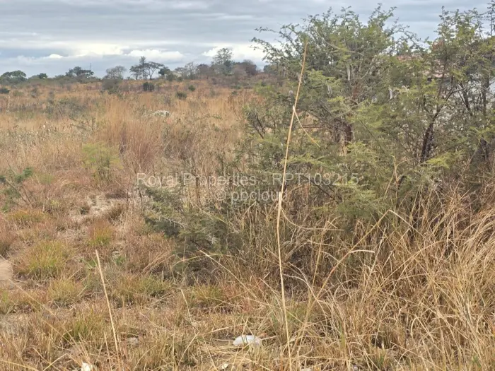 Residential Stand for Sale in Adelaide Pk Gweru, Gweru