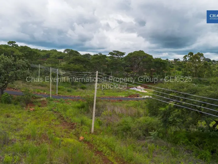 Residential Stand for Sale in Borrowdale, Harare