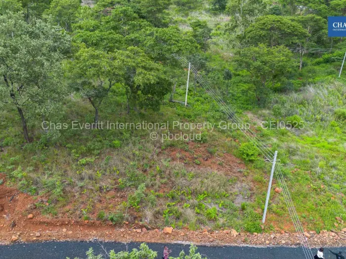 Residential Stand for Sale in Borrowdale, Harare