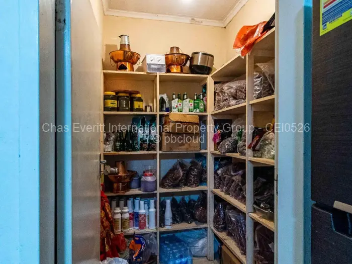 House to Rent in Alexandra Park