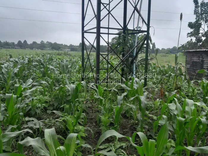 6 Bedroom House for Sale in Glen Lorne, Harare