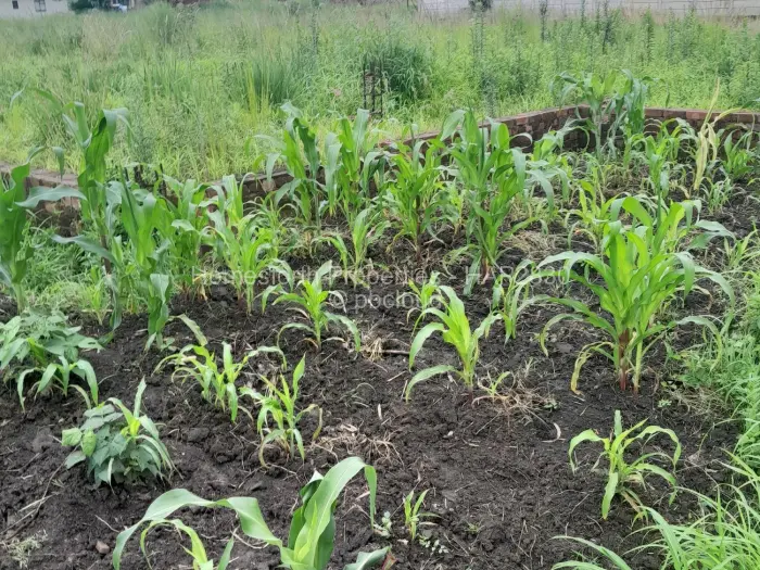 6 Bedroom House for Sale in Glen Lorne, Harare