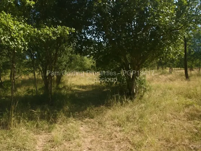 Residential Stand for Sale in Marondera, Marondera