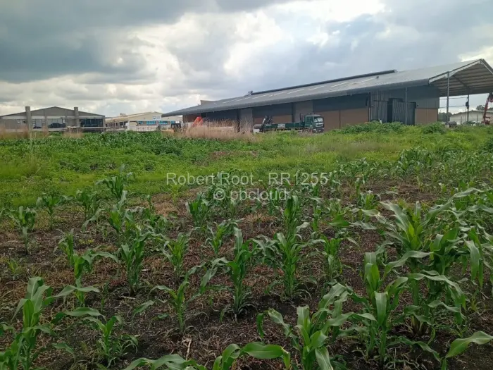 Commercial Stand for Sale in Pomona, Harare